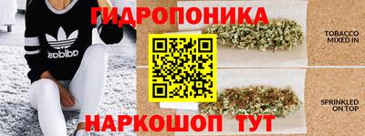 стаф Сланцы