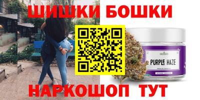 стаф Сланцы