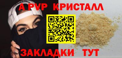 стаф Сланцы