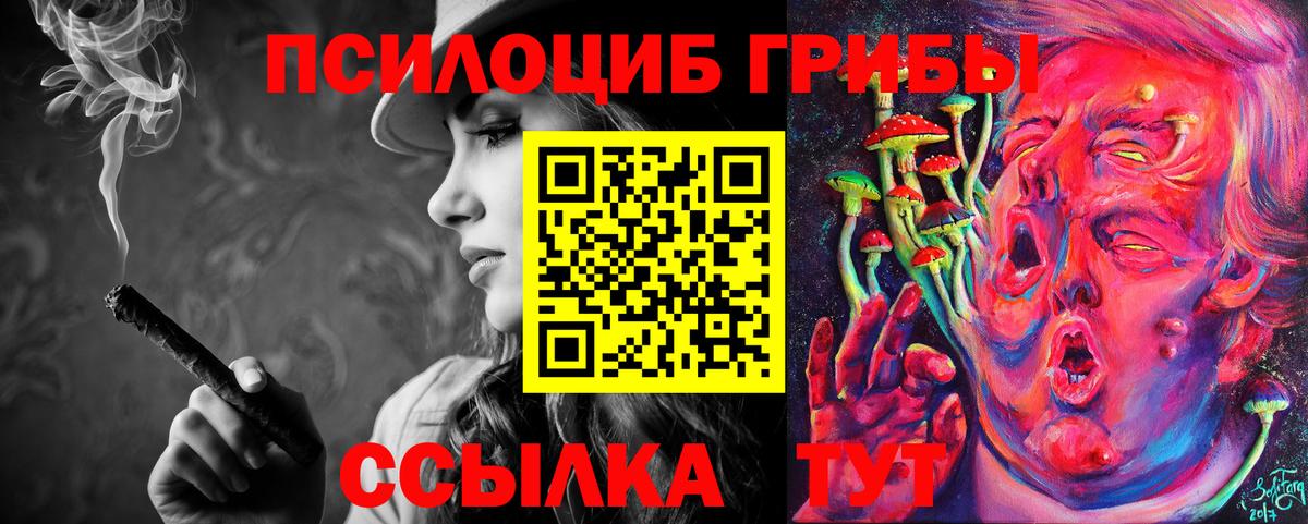 Реутов  Галлюциногенные грибы Psilocybe  Вход с VPN  Псилоцибиновые грибы MAGIC MUSHROOMS 