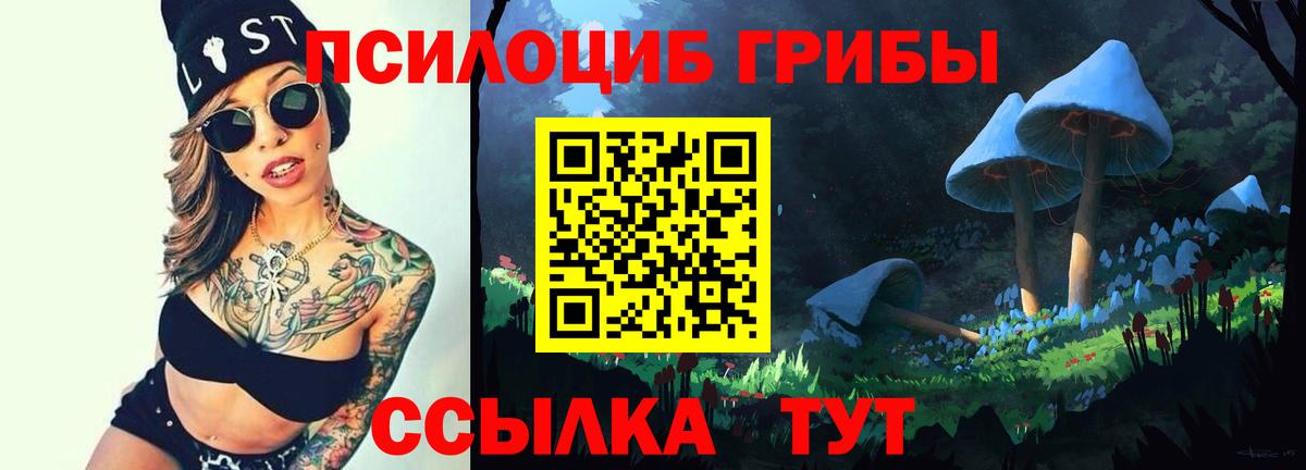 Псилоцибиновые грибы прущие грибы Реутов